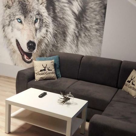 Apartament Widokowy اوسترزوكي دولن المظهر الخارجي الصورة
